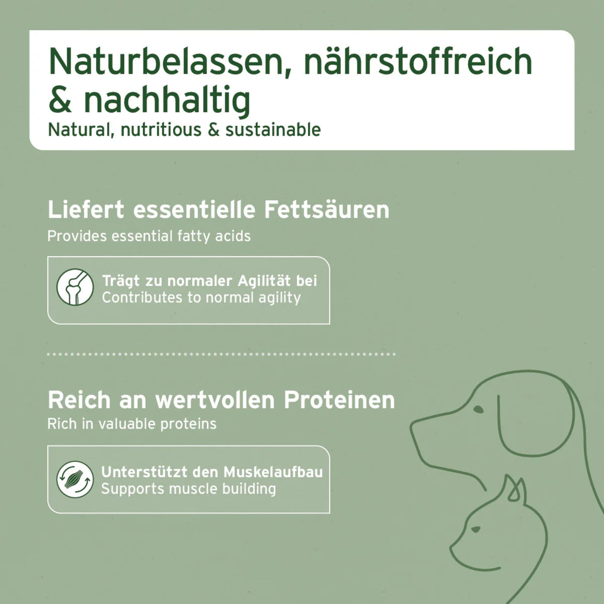 AniForte Muschelkraft Pulver – Natürliche Gelenkunterstützung für Hunde &amp; Katzen mit Blauer Miesmuschel als Futtertopping - Woofshack