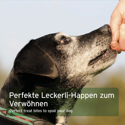 AniForte Obst &amp; Gemüse Hundesnacks - Woofshack