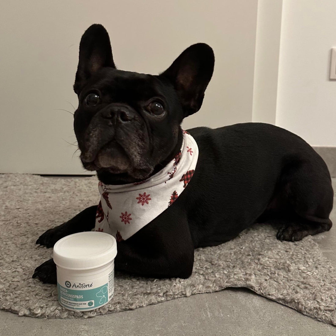 AniForte Ohren - Reinigungspads - Woofshack