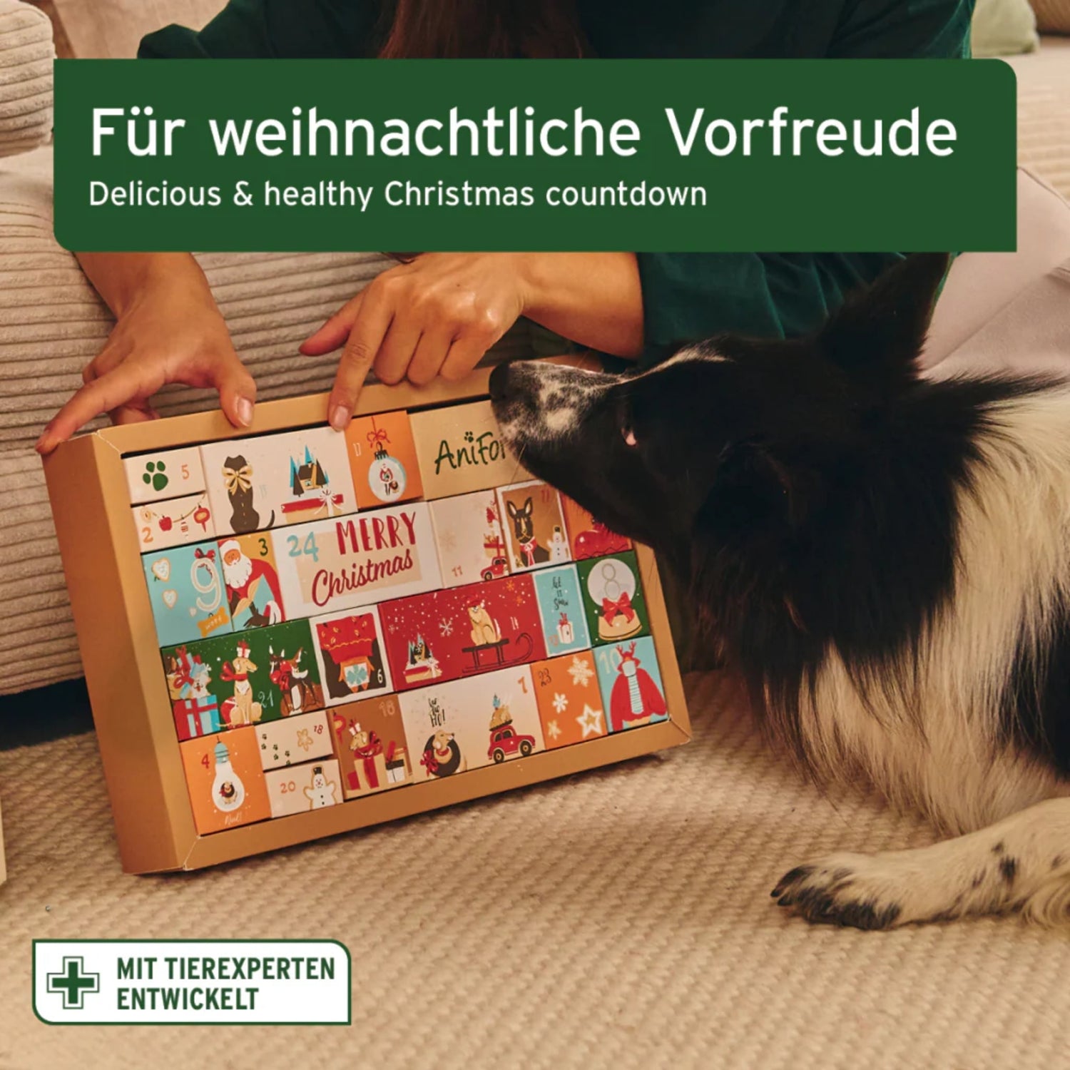 AniForte Premium Adventskalender für Hunde - Woofshack
