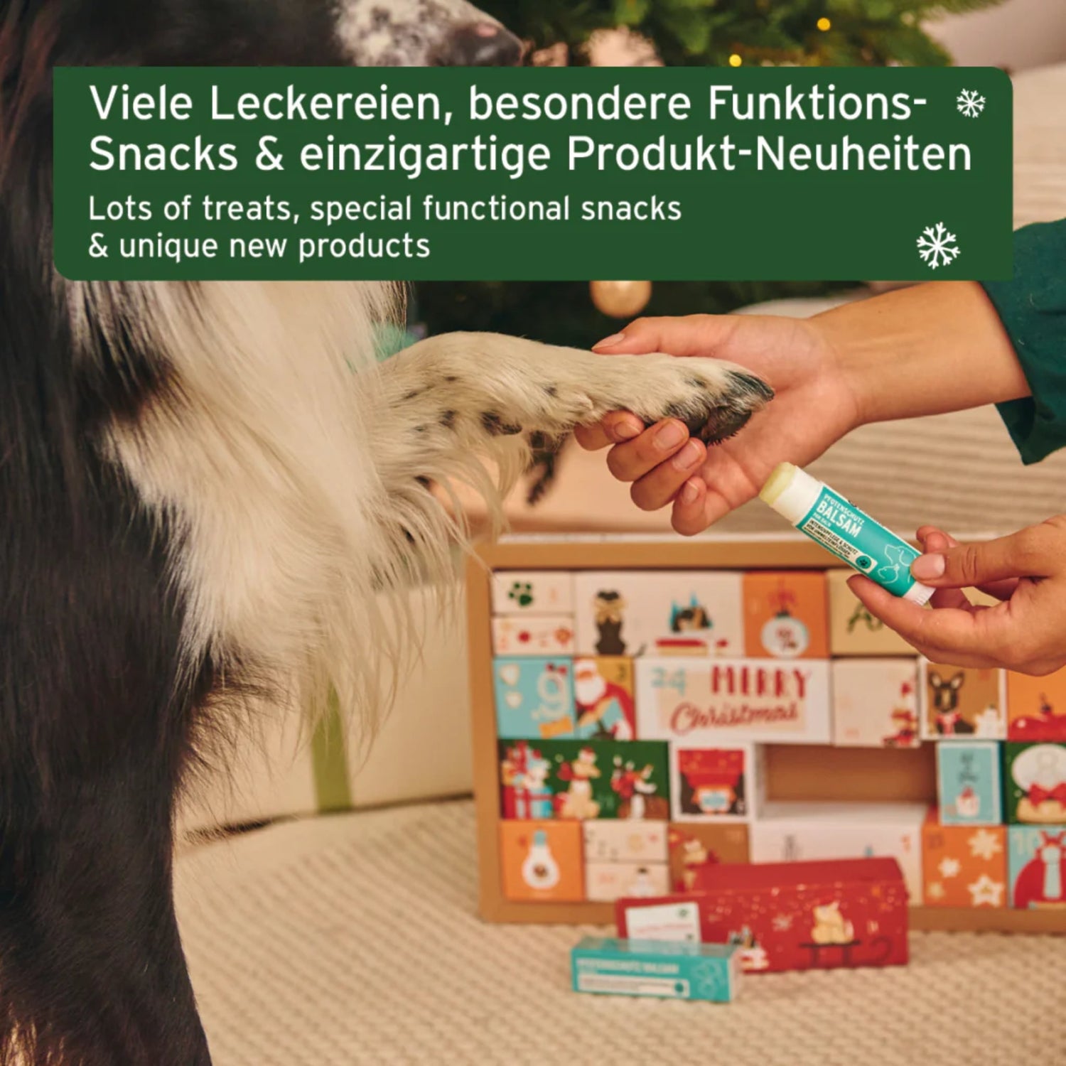 AniForte Premium Adventskalender für Hunde - Woofshack