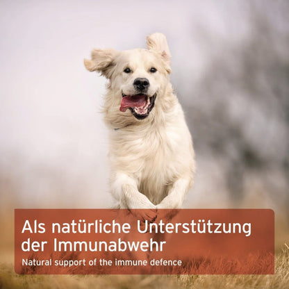 AniForte Propolis Pulver - Woofshack