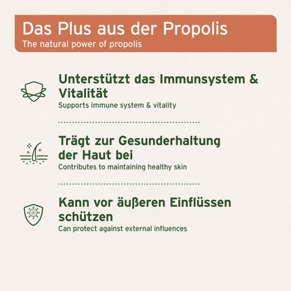 AniForte Propolis Pulver - Woofshack