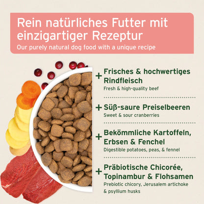 AniForte Pure Nature Country Beef Trockenfutter für Hunde – Getreidefrei, Reich an Omega - 3, Ideal für Allergiker - Woofshack