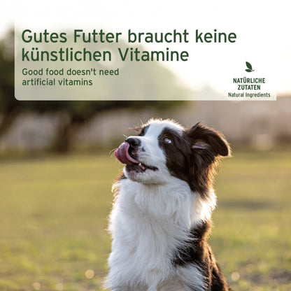 AniForte Ranch Horse Hunde Nassfutter - Woofshack