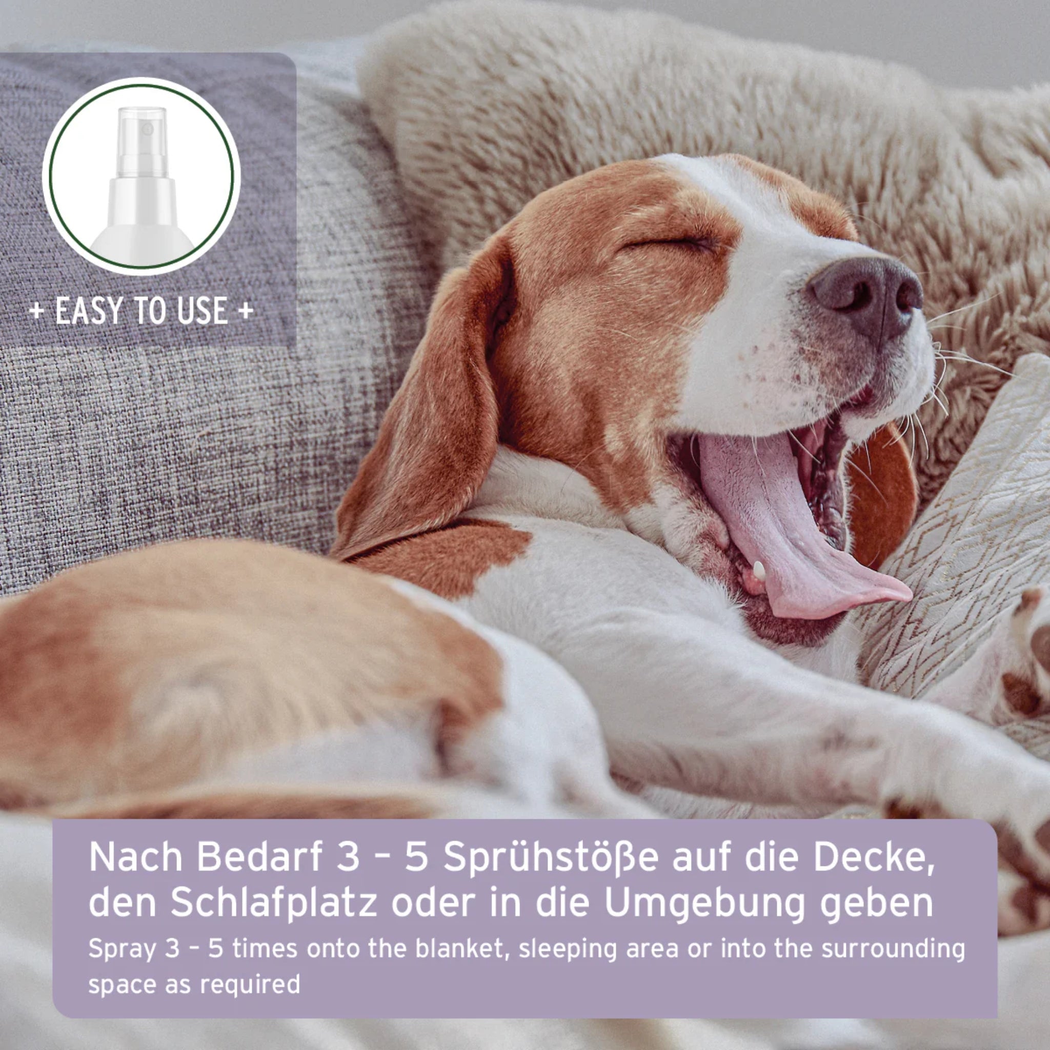 AniForte Relax Spray für Hunde &amp; Katzen – Natürliche Beruhigung bei Stress, Angst &amp; Unruhe durch Silvester, Gewitter &amp; Autofahrten - Woofshack