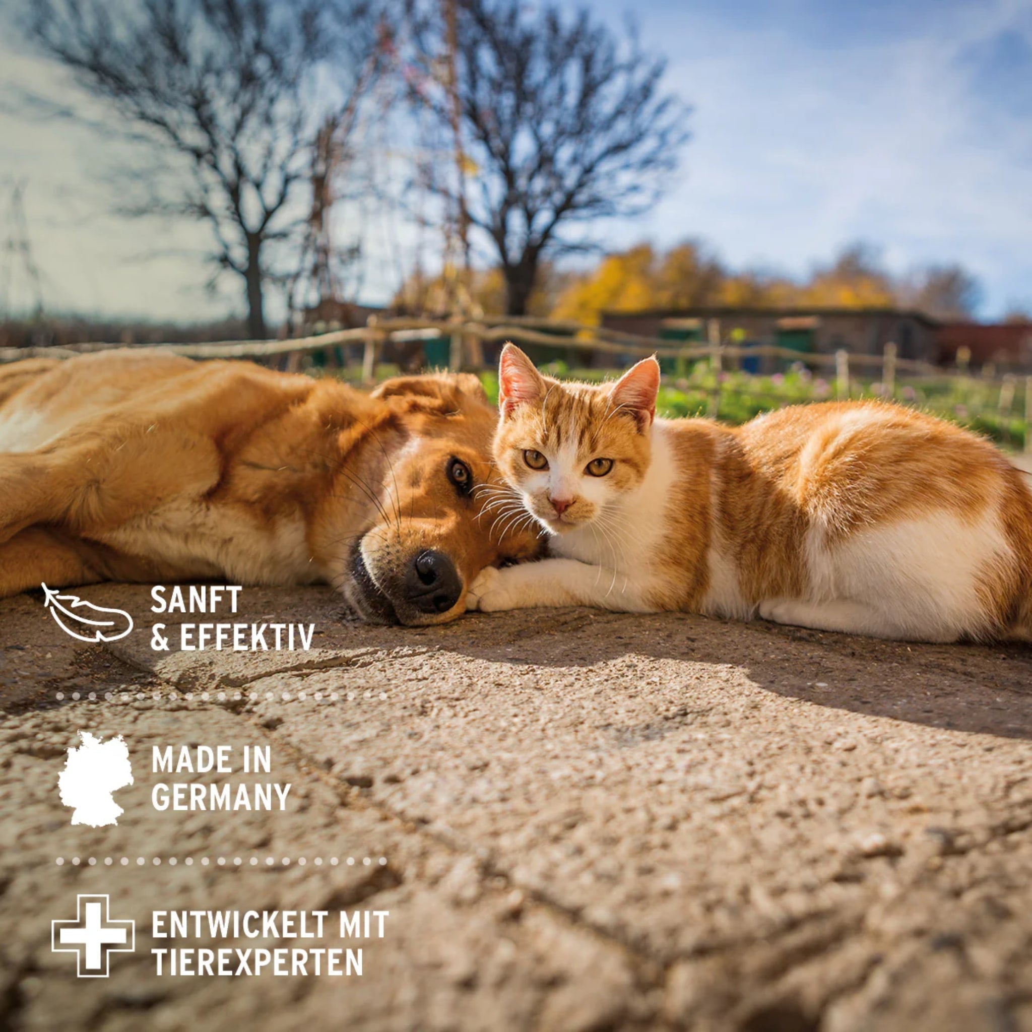 AniForte Relax Spray für Hunde &amp; Katzen – Natürliche Beruhigung bei Stress, Angst &amp; Unruhe durch Silvester, Gewitter &amp; Autofahrten - Woofshack