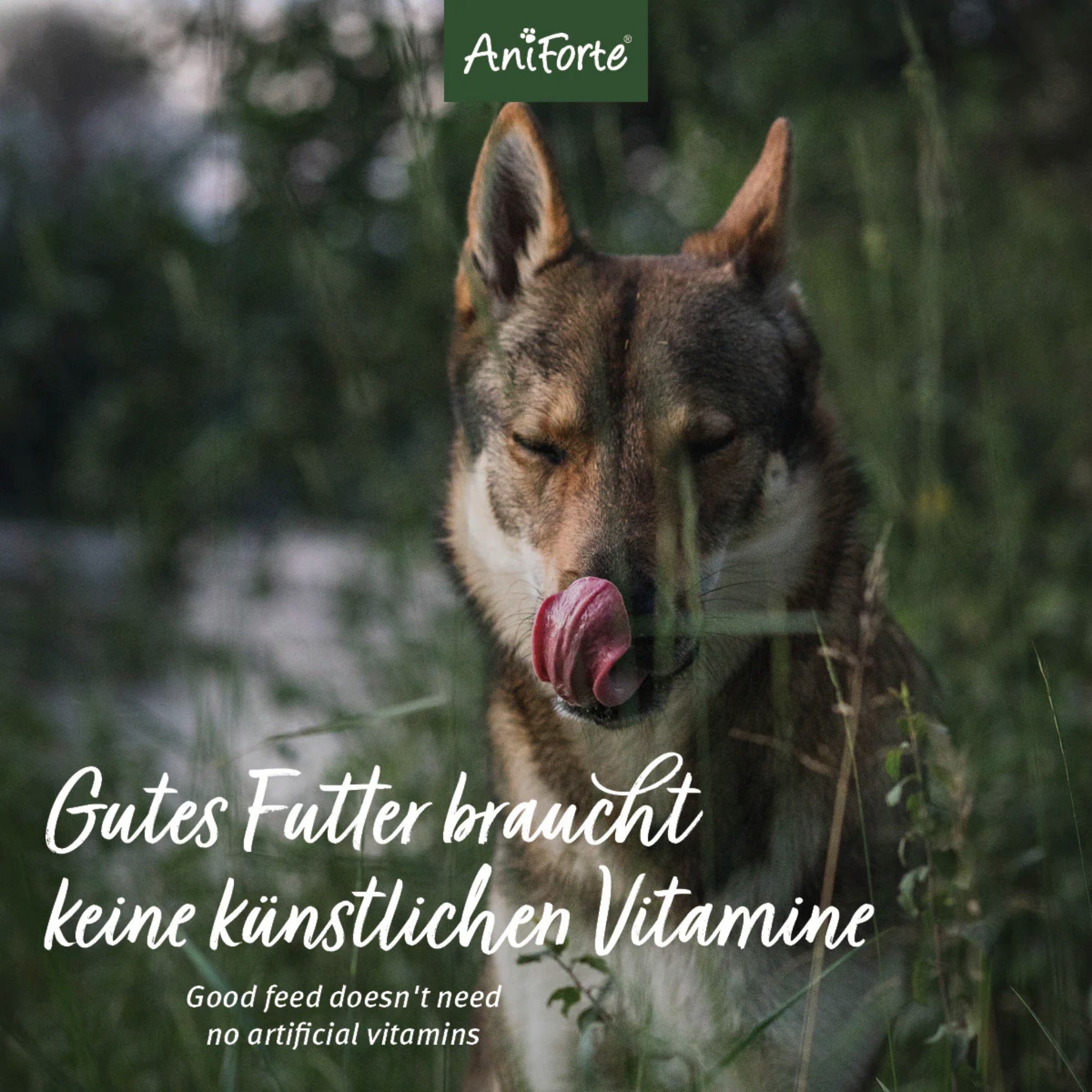AniForte Rind Hunde Trockenfutter - Woofshack