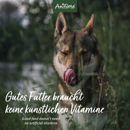 AniForte Rind Hunde Trockenfutter - Woofshack