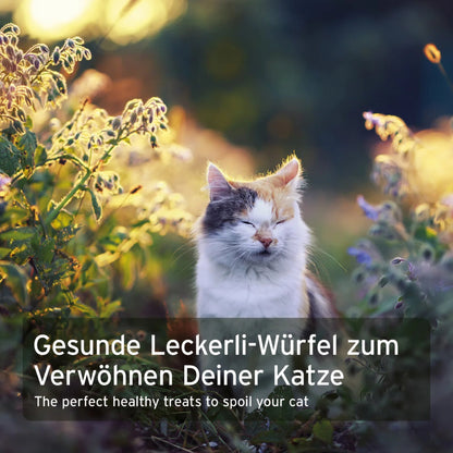 AniForte Soft Snack Kaninchen – Weiche Premium Katzensnacks mit 95% Kaninchenfleisch, Getreidefrei &amp; Ohne Zusätze - Woofshack