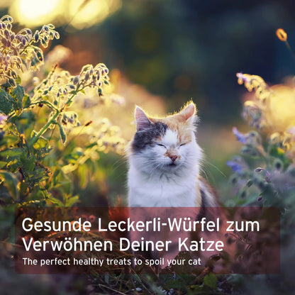 AniForte Soft Snack Rind – Weiche Katzensnacks aus 100% natürlichem Rindfleisch für anspruchsvolle Katzen - Woofshack