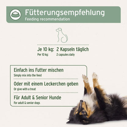 AniForte artiglio del diavolo in capsule per cani