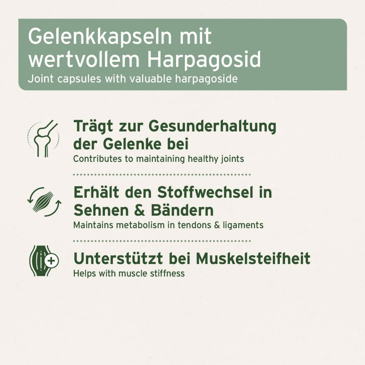 AniForte Teufelskralle Kapseln für Hunde – Natürliche Unterstützung für bewegliche Gelenke &amp; geschmeidige Muskeln