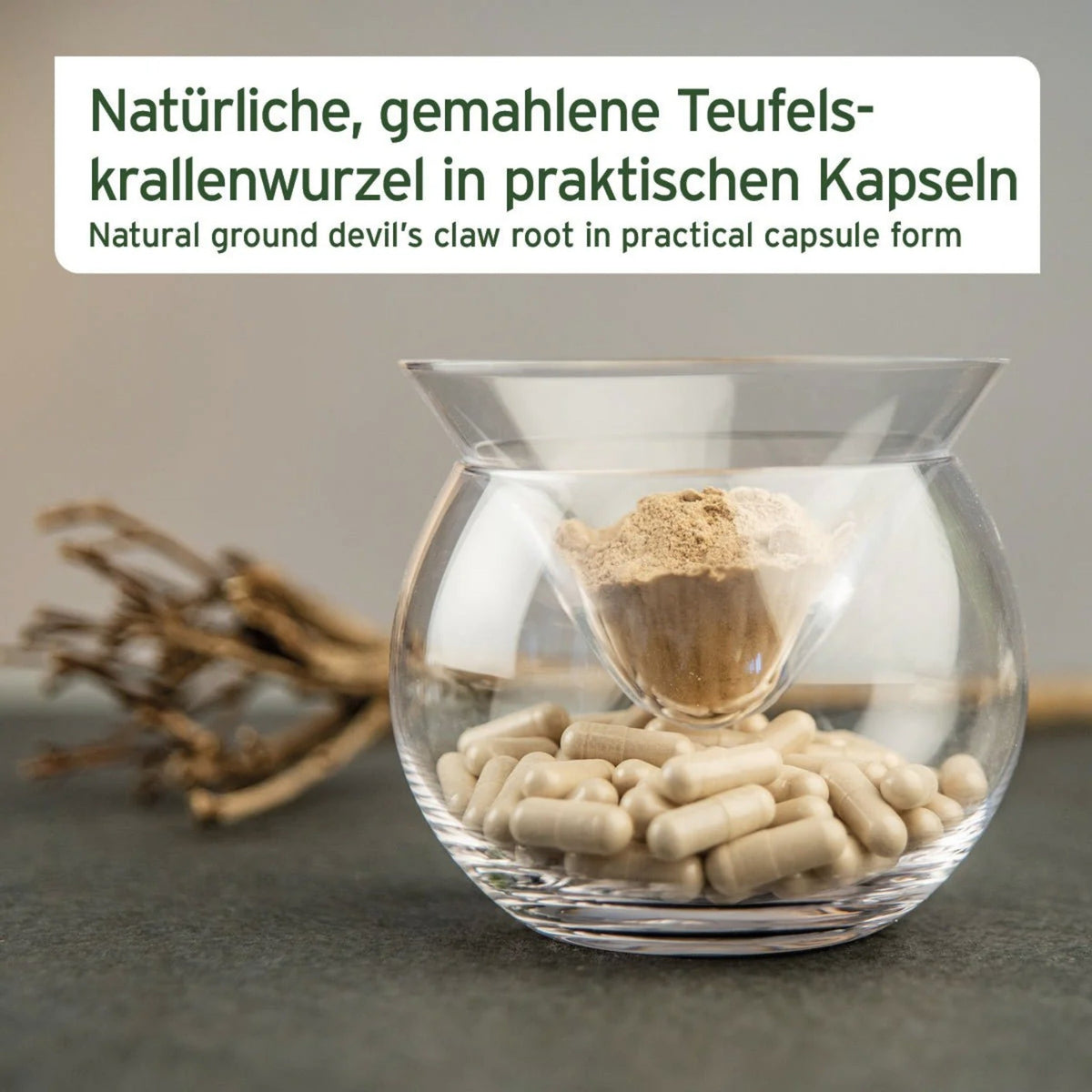 AniForte Teufelskralle Kapseln für Hunde - Woofshack