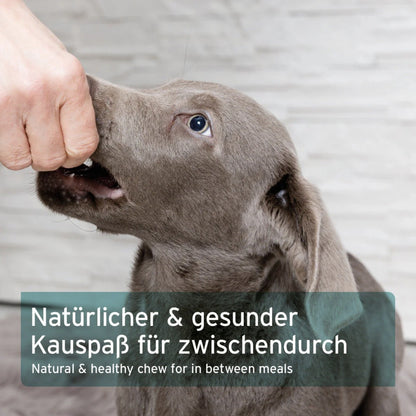 AniForte Trockenfisch Hundesnacks - Woofshack