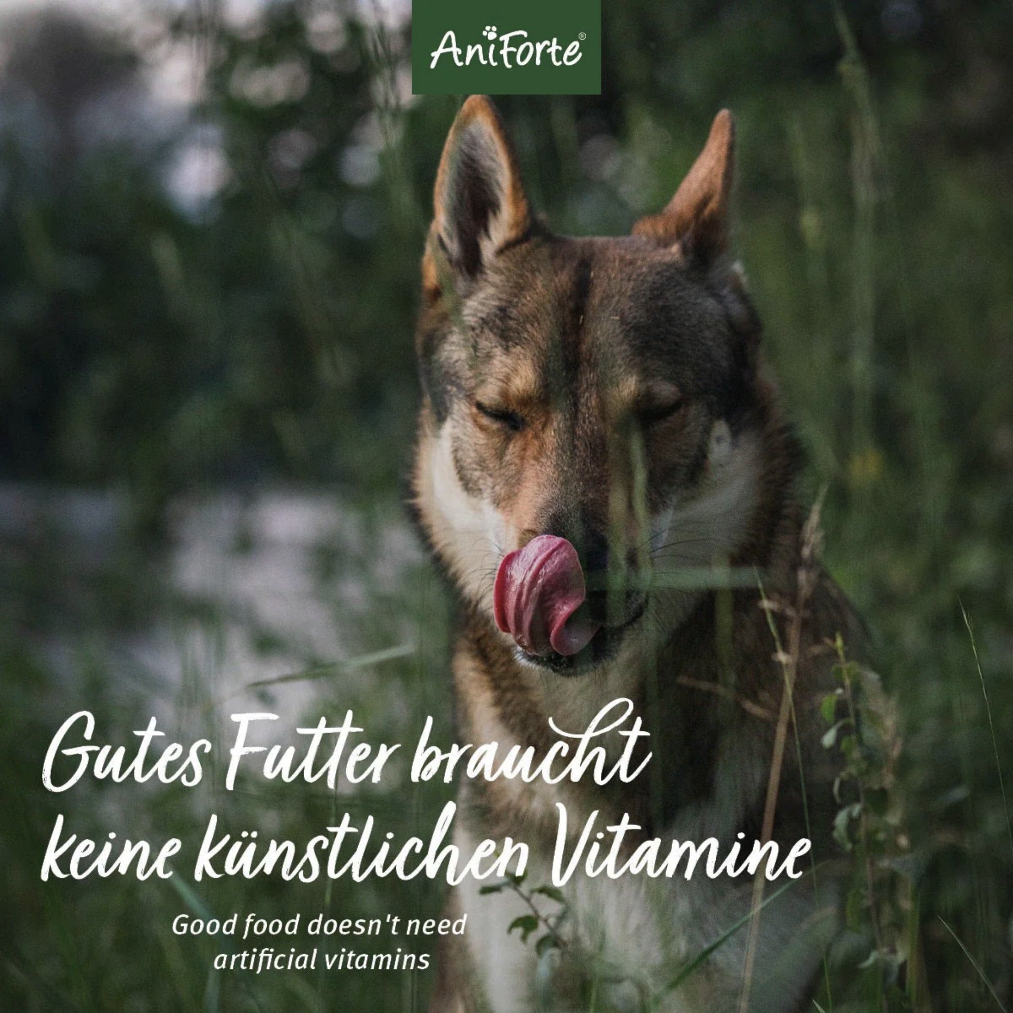 AniForte Trockenfutter Huhn für Hunde - Woofshack