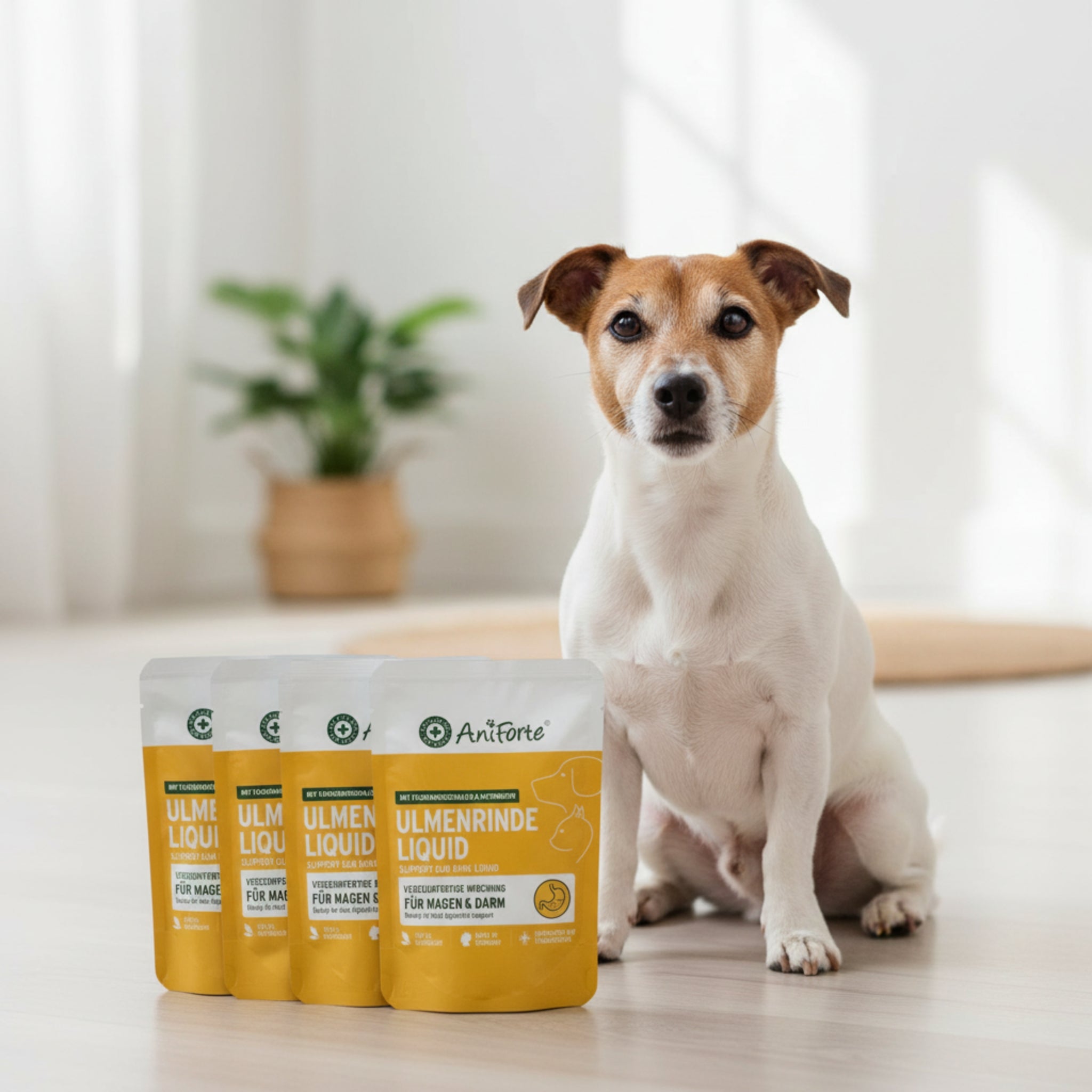 AniForte Ulmenrinde Liquid für Hunde &amp; Katzen – Natürliche Unterstützung bei Magen-Darm-Beschwerden, Sodbrennen, Übersäuerung &amp; Durchfall