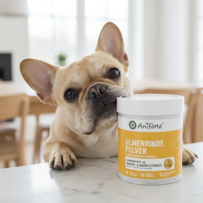 AniForte Ulmenrinde Pulver für Hunde – Natürliche Unterstützung für Magen &amp; Darm - Woofshack