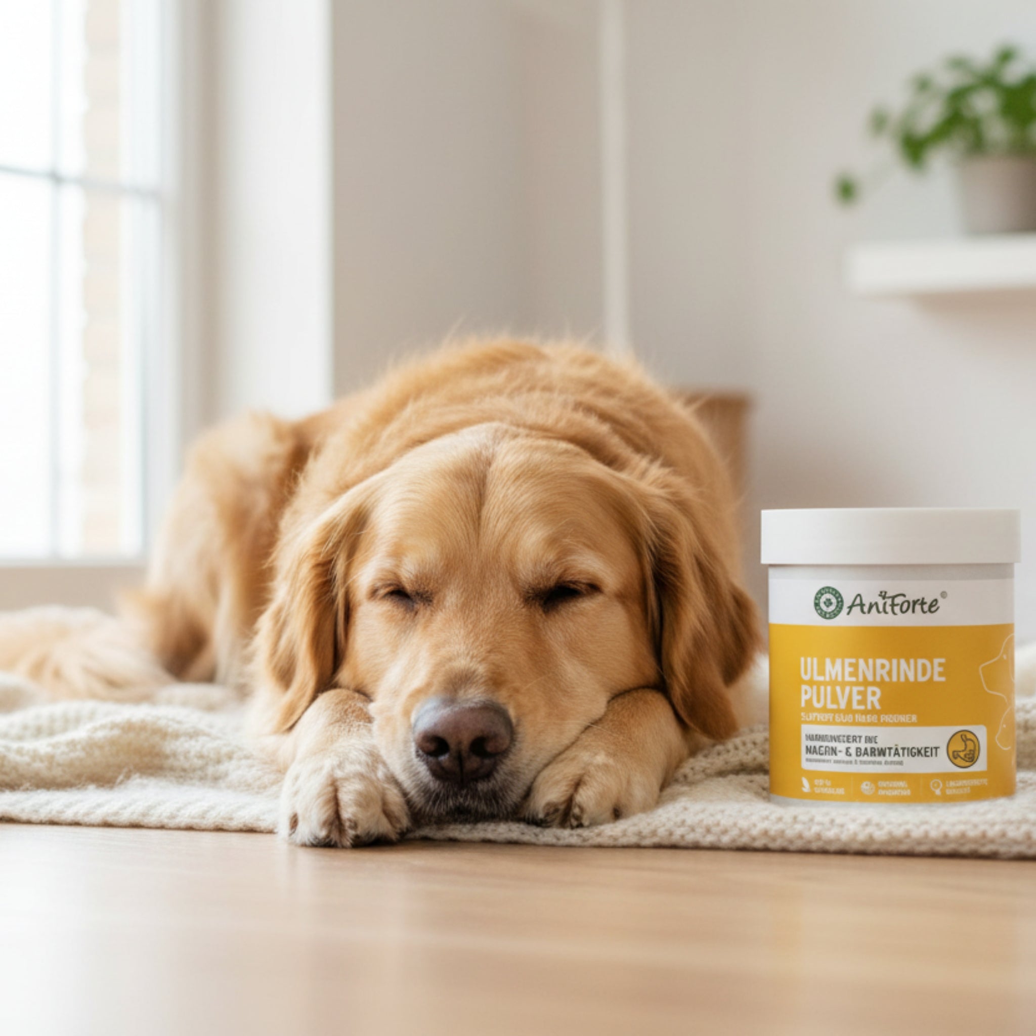 AniForte Ulmenrinde Pulver für Hunde – Natürliche Unterstützung für Magen &amp; Darm - Woofshack