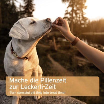 AniForte Versteckerli Hundesnack - Woofshack