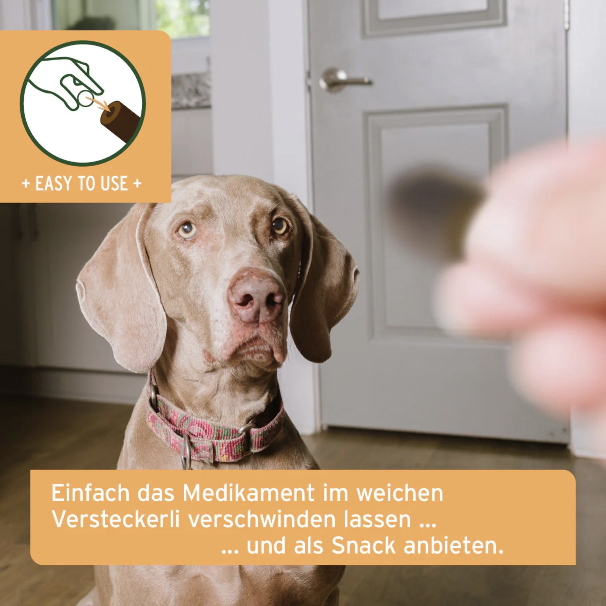 AniForte Versteckerli Hundesnack - Woofshack
