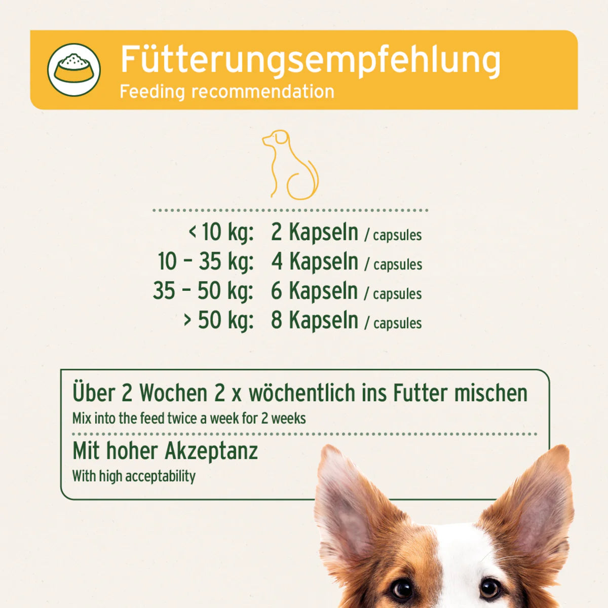 AniForte WermiX Kapseln für Hunde – Natürliche Kräutermischung nach Wurmbefall mit Thymian, Wermut &amp; Salbei zur gezielten Nährstoffversorgung