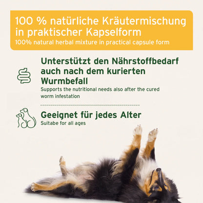 AniForte WermiX Kapseln für Hunde - Woofshack