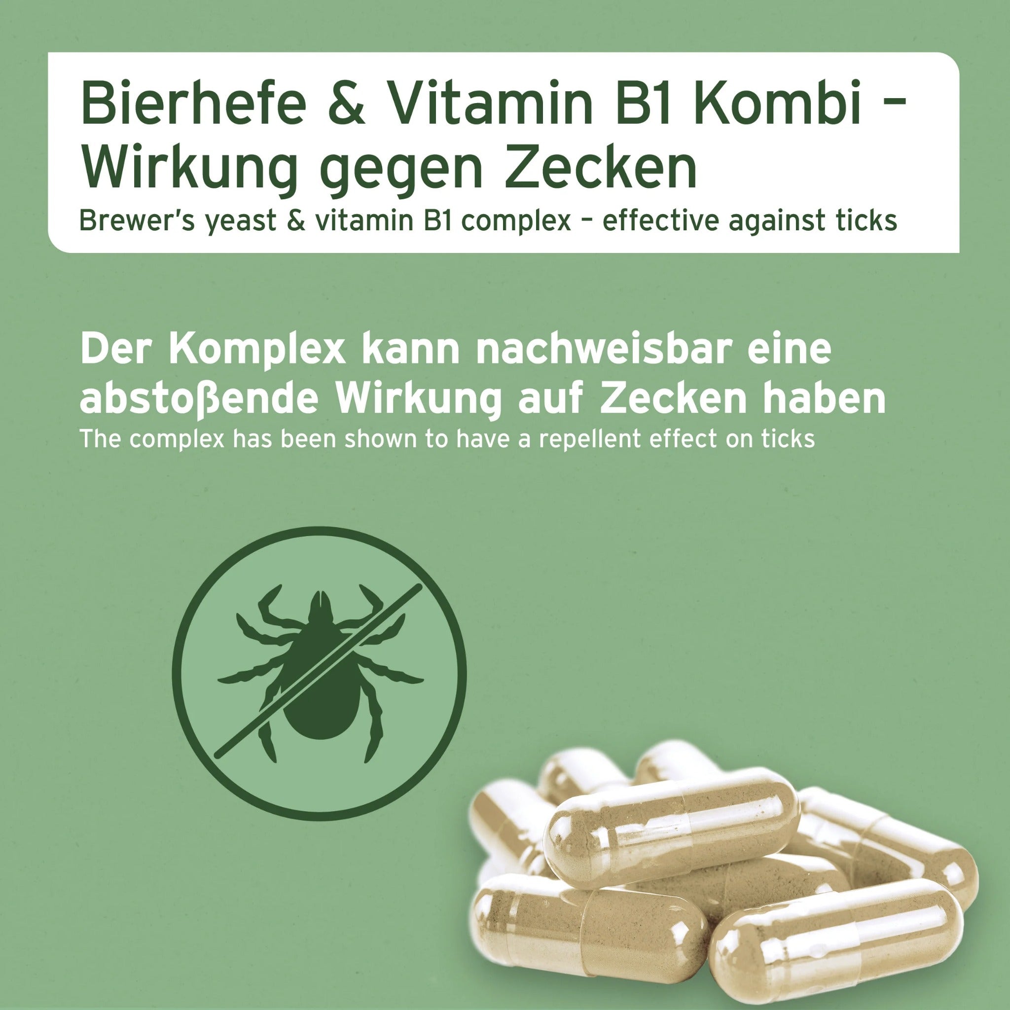AniForte ZeckenSchild Kapseln für Hunde – Natürlicher Zeckenschutz mit Bierhefe &amp; Vitamin B-Komplex für starke Hautbarriere und Abwehrkraft