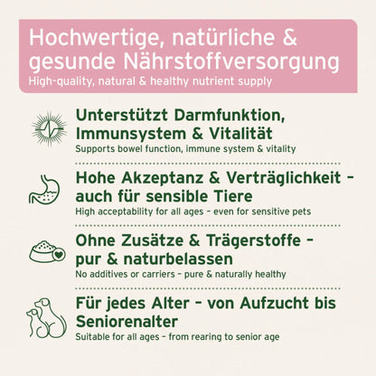 AniForte Ziegenmilch Pulver für Hunde &amp; Katzen - Natürliche Aufzucht &amp; Verdauung - Woofshack