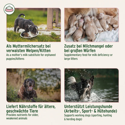 AniForte Ziegenmilch Pulver für Hunde &amp; Katzen - Natürliche Aufzucht &amp; Verdauung - Woofshack