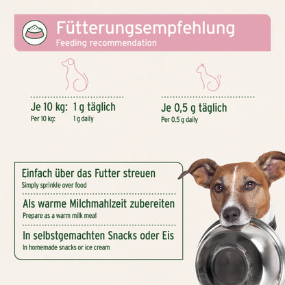AniForte Ziegenmilch Pulver für Hunde &amp; Katzen - Natürliche Aufzucht &amp; Verdauung - Woofshack