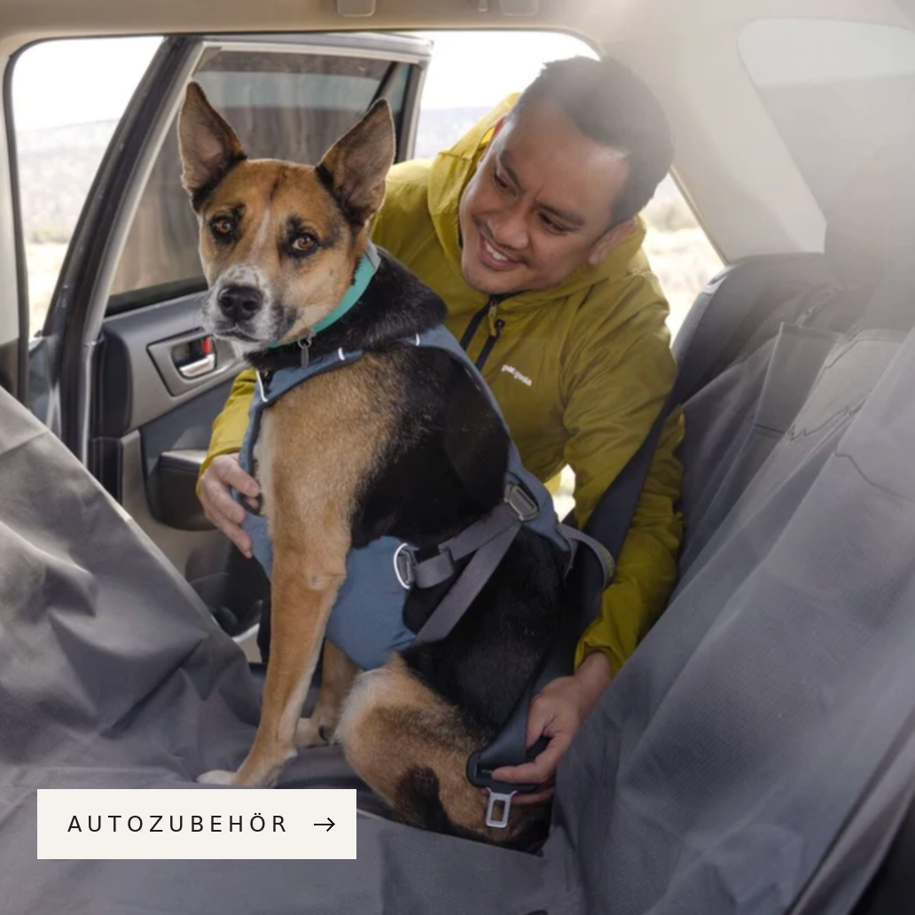 Autozubehör für Hunde bei Woofshack kaufen