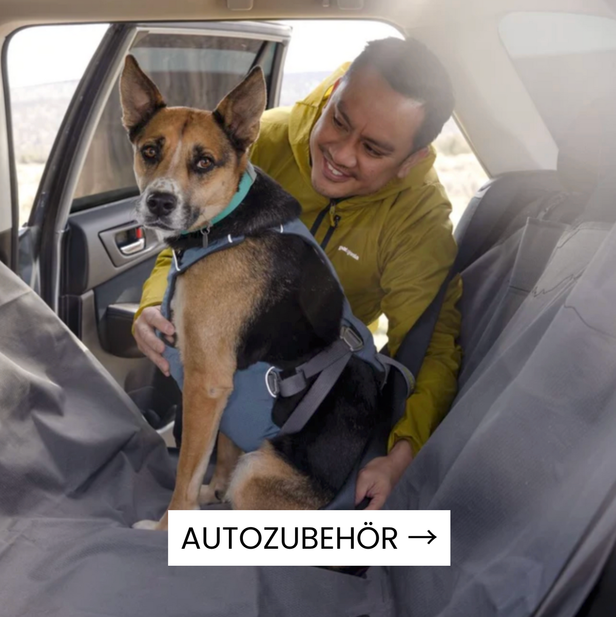 Autozubehör für Hunde bei Woofshack kaufen
