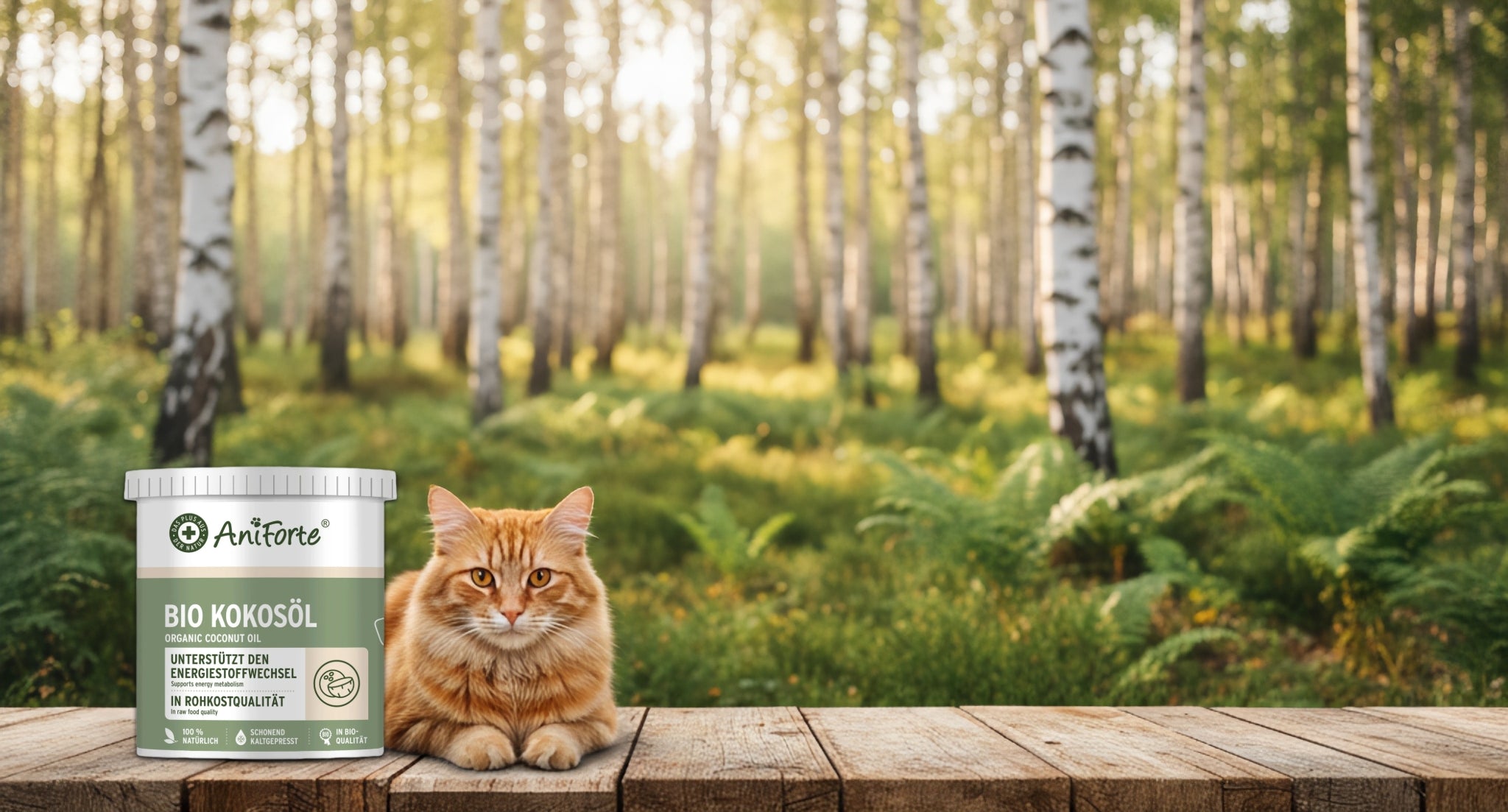 AniForte Katze