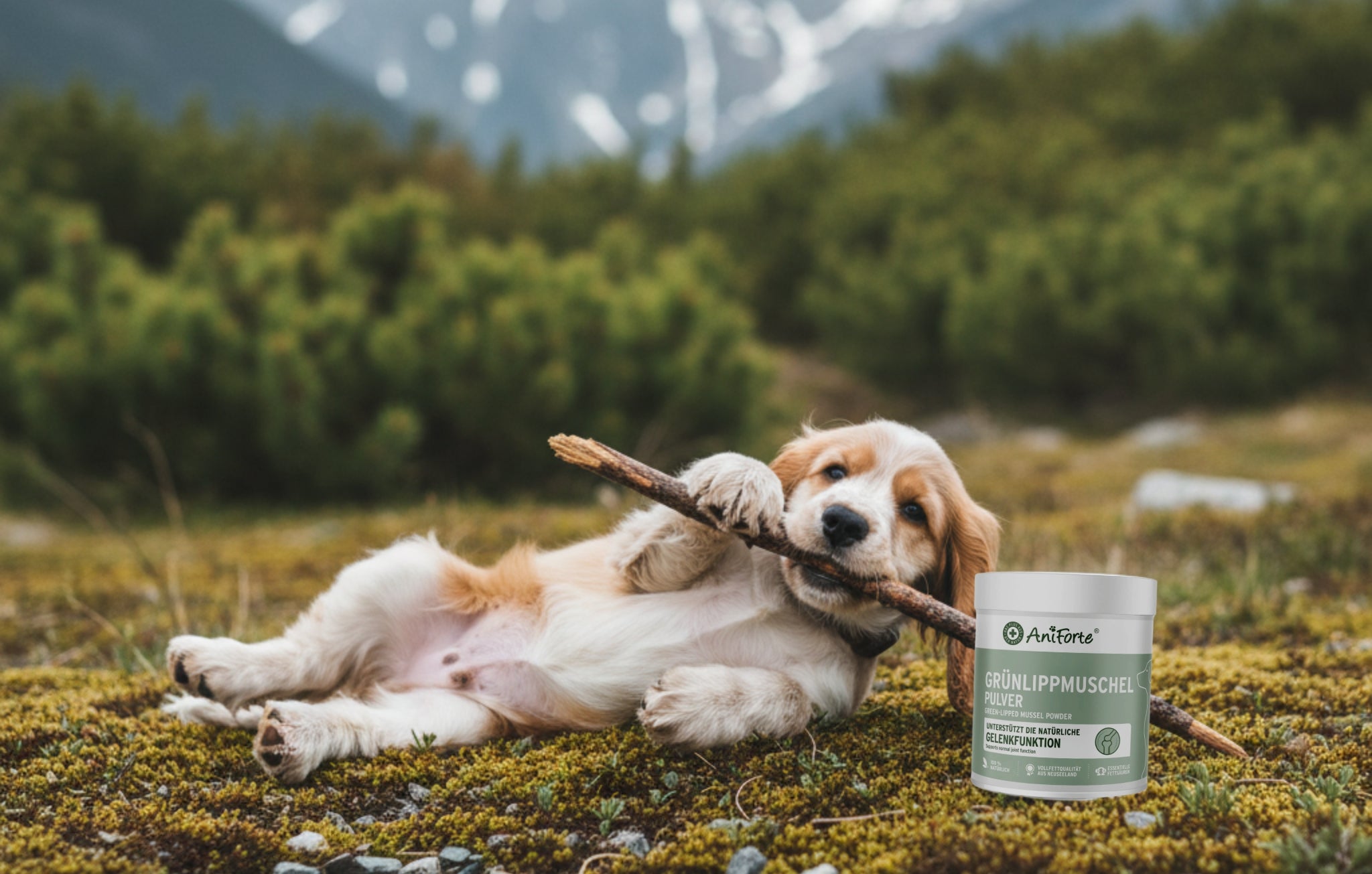 AniForte Produkte für Hunde & Katzen