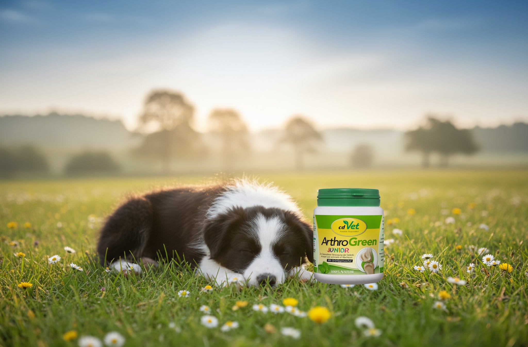 cdVet Produkte für Hunde & Katzen