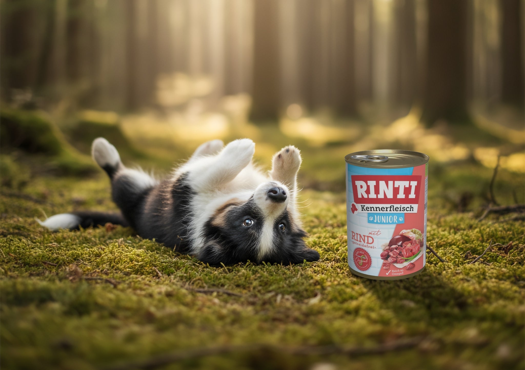 RINTI Hundefutter