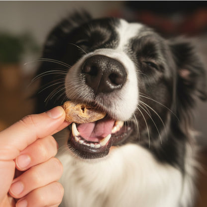 Black Canyon Beutehappen Hühnerherzen - Premium Hundesnack gefriergetrocknet - Woofshack