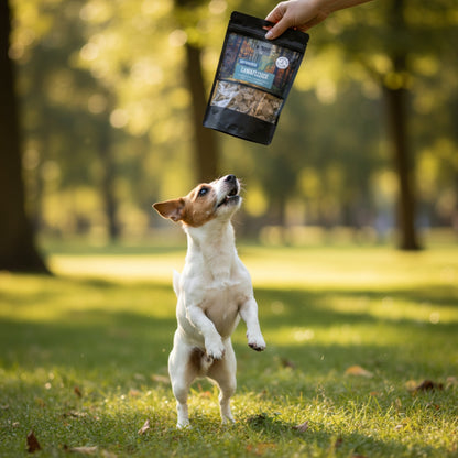 Black Canyon Beutehappen Lamafleisch – Premium Snack aus exotischem Lama für anspruchsvolle Vierbeiner - Woofshack