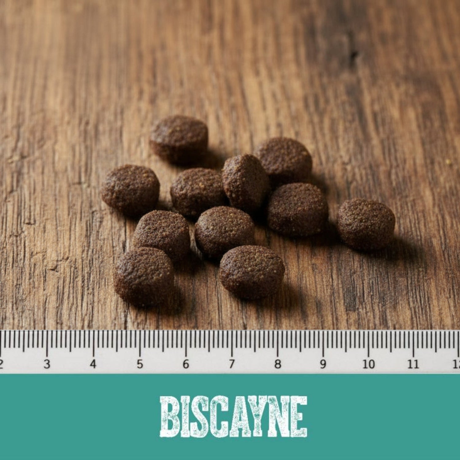 Black Canyon Biscayne - Lachs &amp; Huhn, Hundefutter - Woofshack