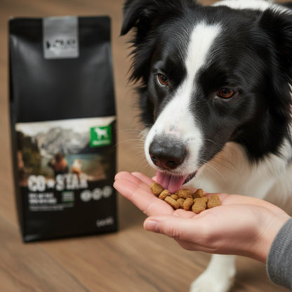 Black Canyon CoStar Adult Ente &amp; Reis – Premium Trockenfutter für ausgewachsene Hunde mit hochwertiger Ente, bekömmlichem Reis und natürlichen Zutaten - Woofshack