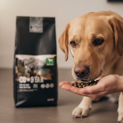 Black Canyon CoStar Adult Ente &amp; Reis – Premium Trockenfutter für ausgewachsene Hunde mit hochwertiger Ente, bekömmlichem Reis und natürlichen Zutaten - Woofshack