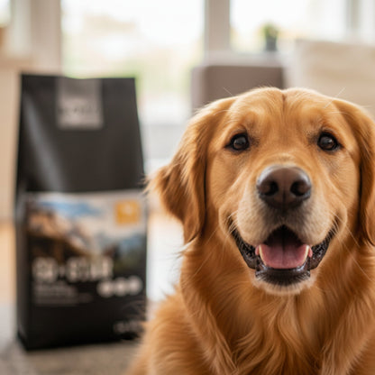 Black Canyon CoStar Adult Huhn &amp; Reis – Premium Trockenfutter für ausgewachsene Hunde mit leicht verdaulicher Rezeptur für gesundes Fell, starke Muskeln &amp; optimale Verdauung - Woofshack