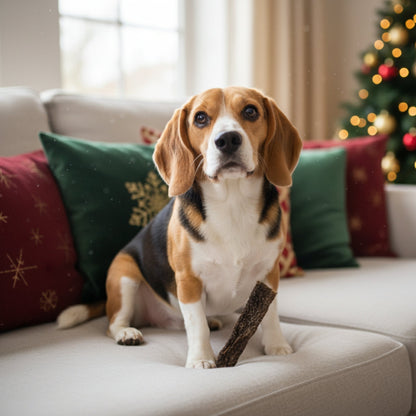 Black Canyon Festtags - Pansen für gesunde Zähne &amp; Verdauung - Woofshack