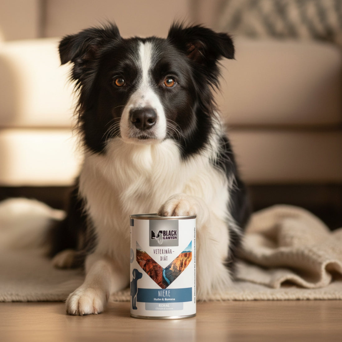 Black Canyon Niere – Veterinär-Diät-Nassfutter für ausgewachsene Hunde mit Nierenerkrankung | Huhn &amp; Banane, glutenfrei, schonend gegart - Woofshack