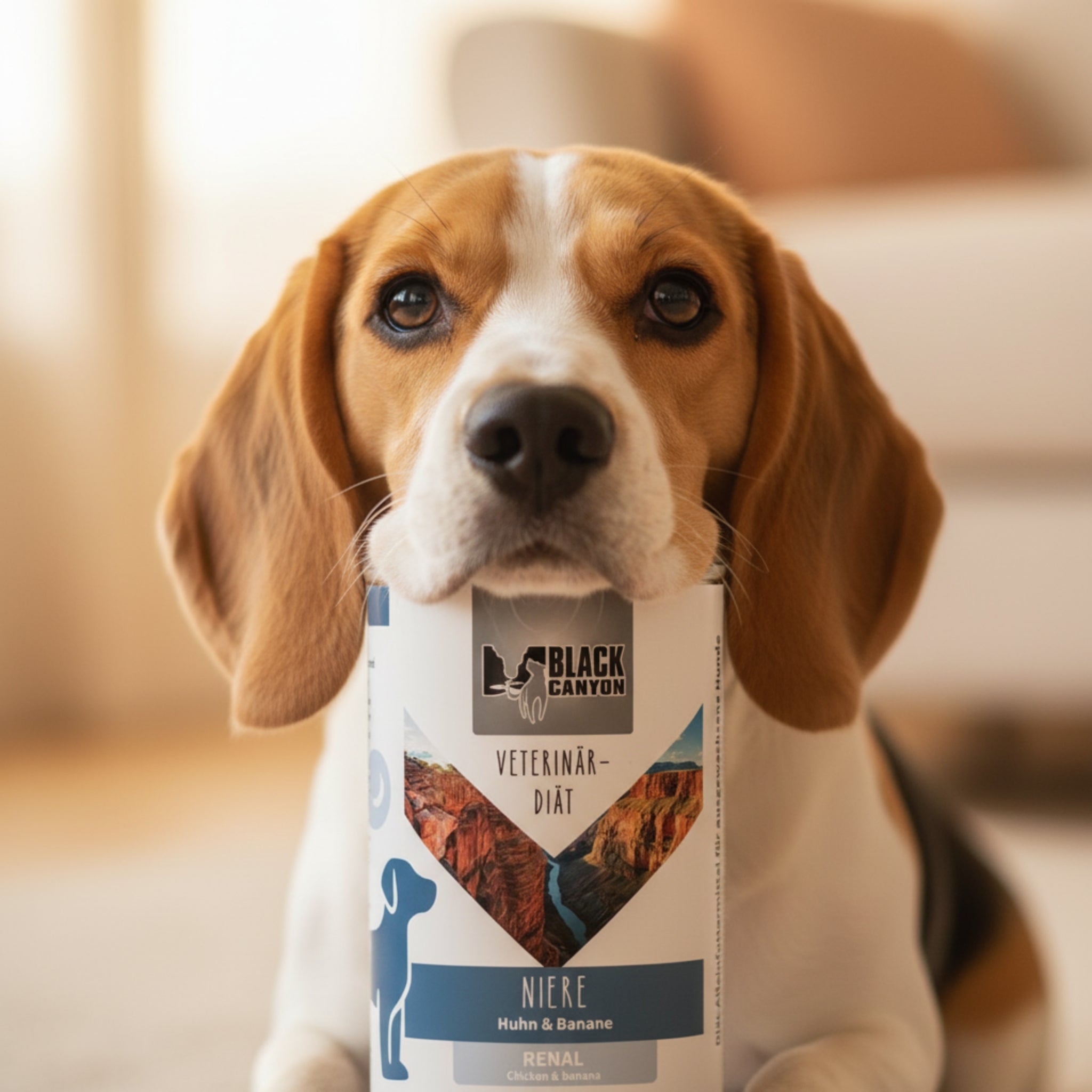 Black Canyon Niere – Veterinär-Diät-Nassfutter für ausgewachsene Hunde mit Nierenerkrankung | Huhn &amp; Banane, glutenfrei, schonend gegart - Woofshack