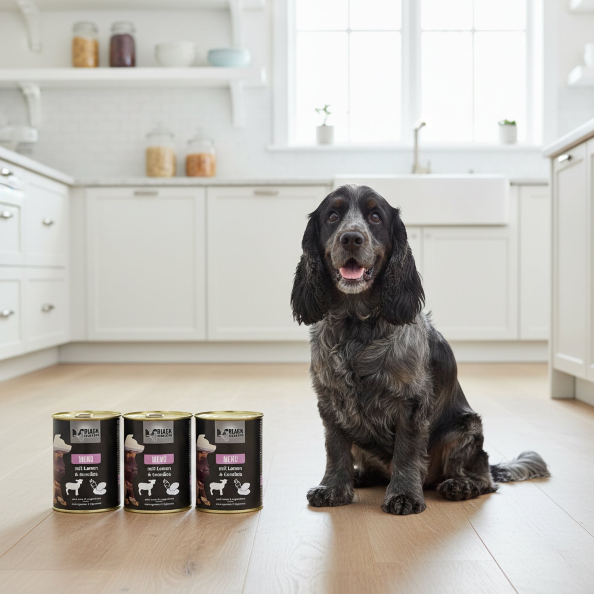 Black Canyon Premium - Menü mit Lamm &amp; Gemüse – Getreidefreies Nassfutter für Hunde mit empfindlicher Verdauung &amp; Allergien - Woofshack