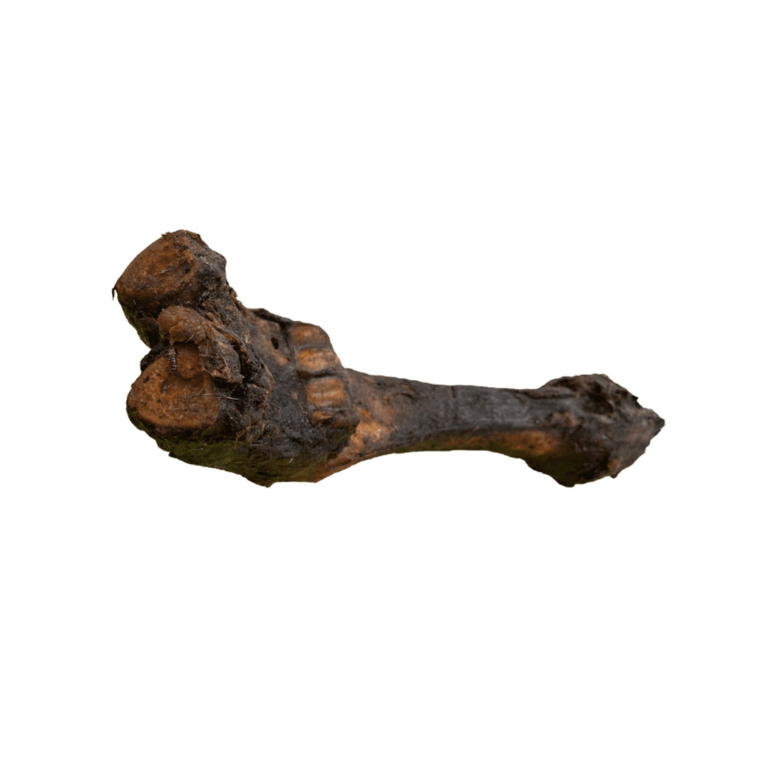 Black Canyon Rinder-Unterbein, Hunde Kausnack - Woofshack