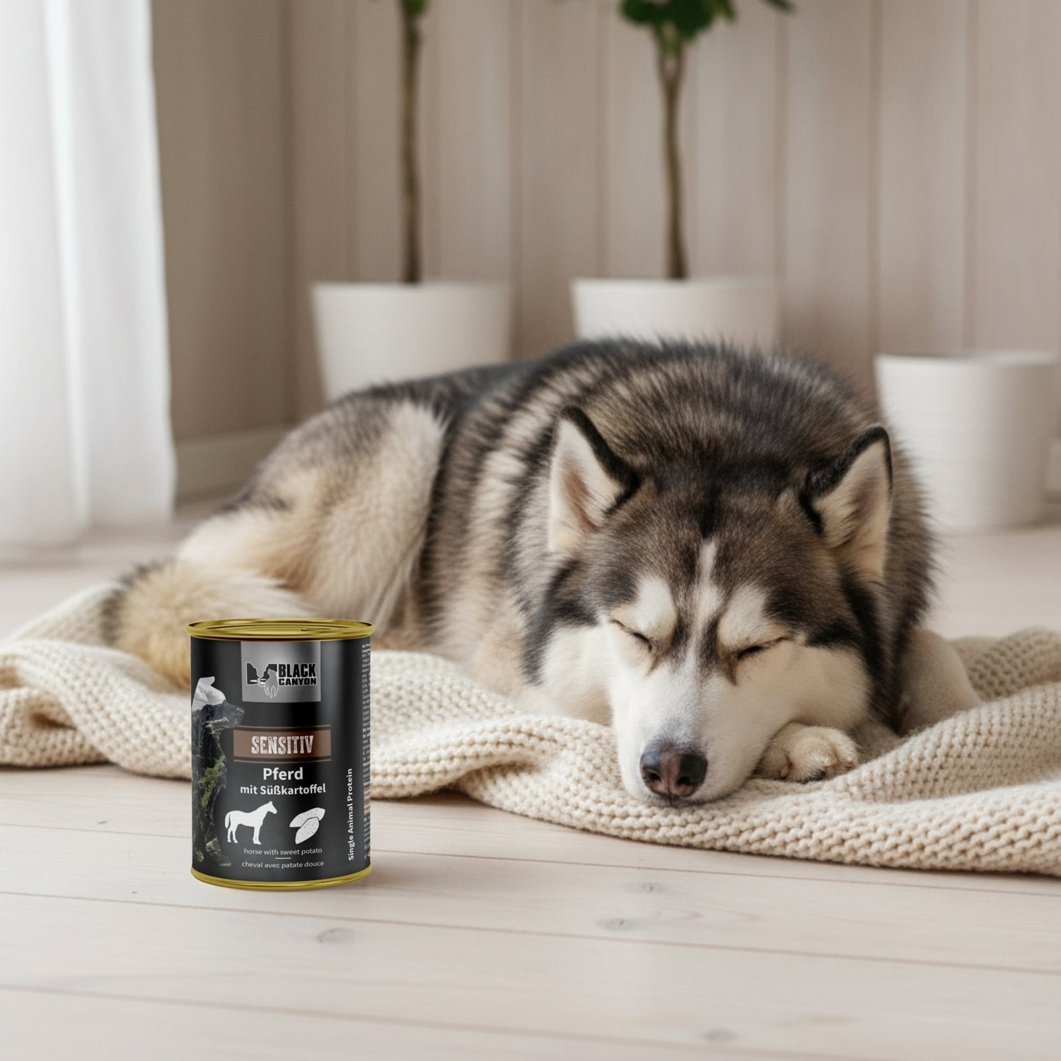 Black Canyon Sensitiv - Pferd mit Süßkartoffel, Hunde Nassfutter - Woofshack