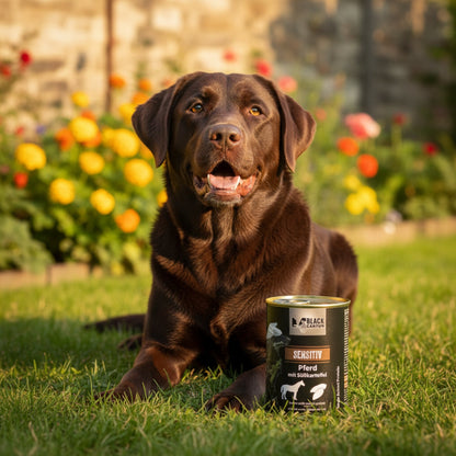 Black Canyon Sensitiv Pferd mit Süßkartoffel – Hypoallergenes Nassfutter für sensible Hunde - Woofshack